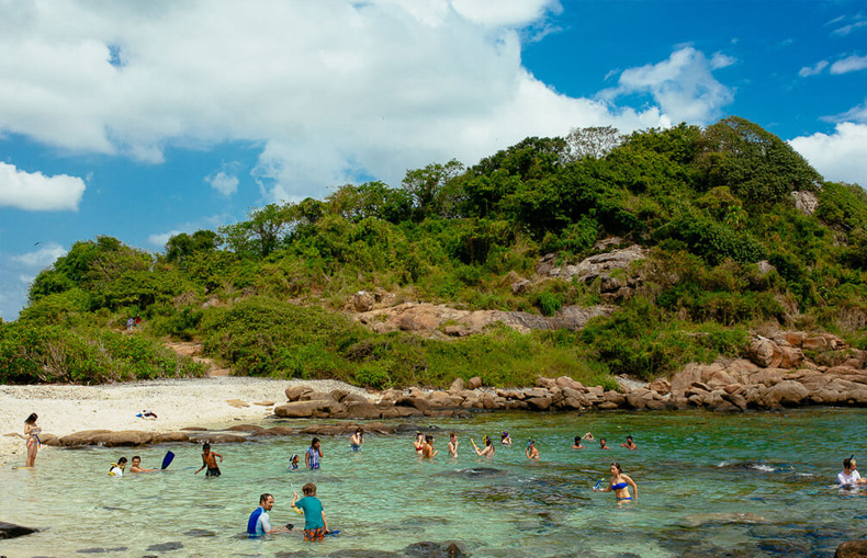 Sandy Shore